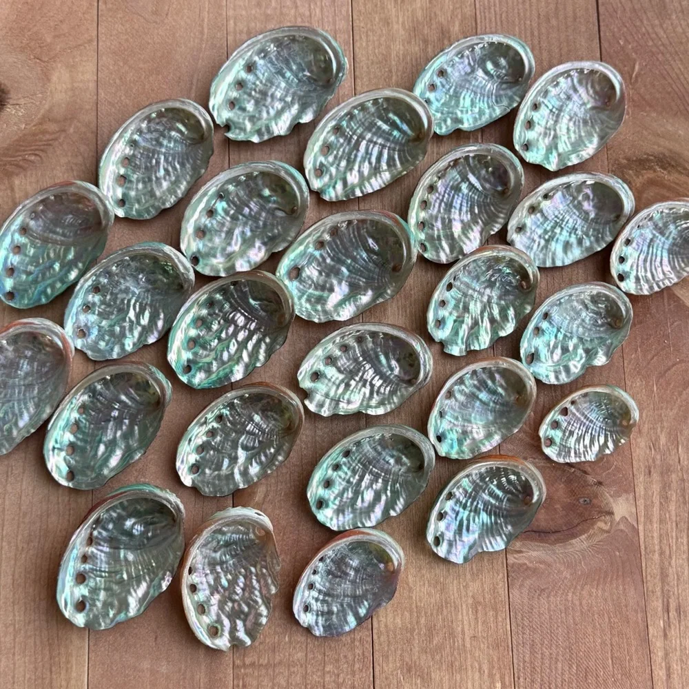 Real ABALONE Shells Polished Nautical DIY Crafting Decor Coastal Mixed Bulk lot